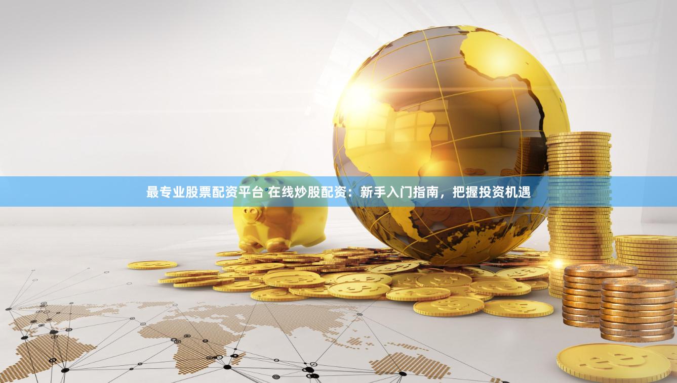 最专业股票配资平台 在线炒股配资：新手入门指南，把握投资机遇