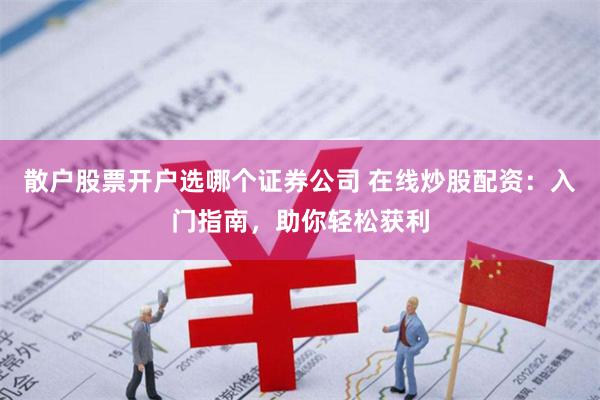 散户股票开户选哪个证券公司 在线炒股配资：入门指南，助你轻松获利
