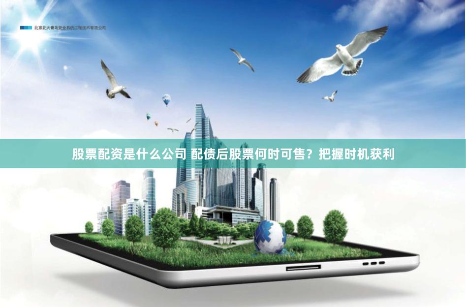 股票配资是什么公司 配债后股票何时可售？把握时机获利